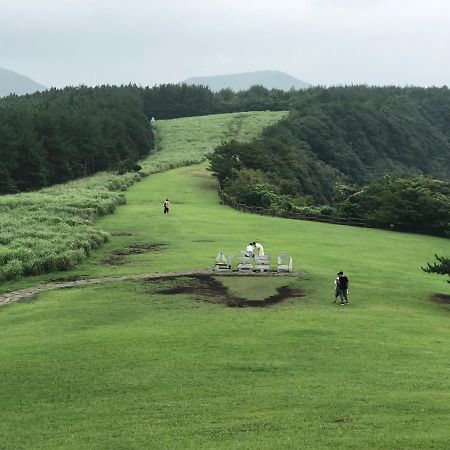 Lefthander Guesthouse Jeju Dış mekan fotoğraf