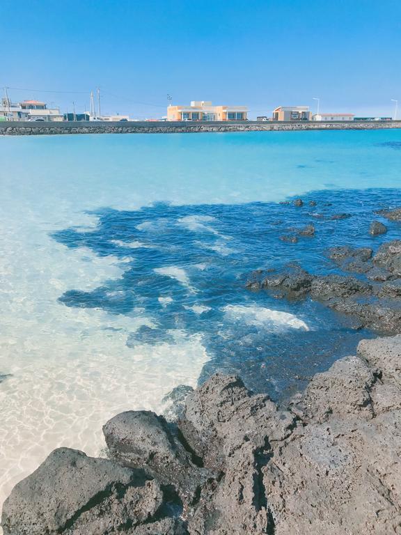 Lefthander Guesthouse Jeju Dış mekan fotoğraf