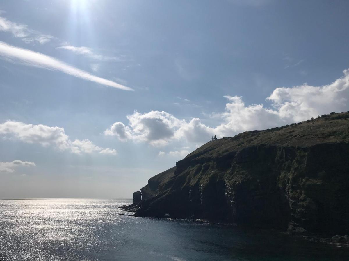 Lefthander Guesthouse Jeju Dış mekan fotoğraf
