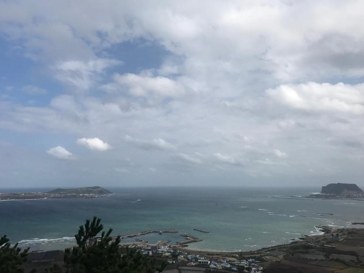 Lefthander Guesthouse Jeju Dış mekan fotoğraf