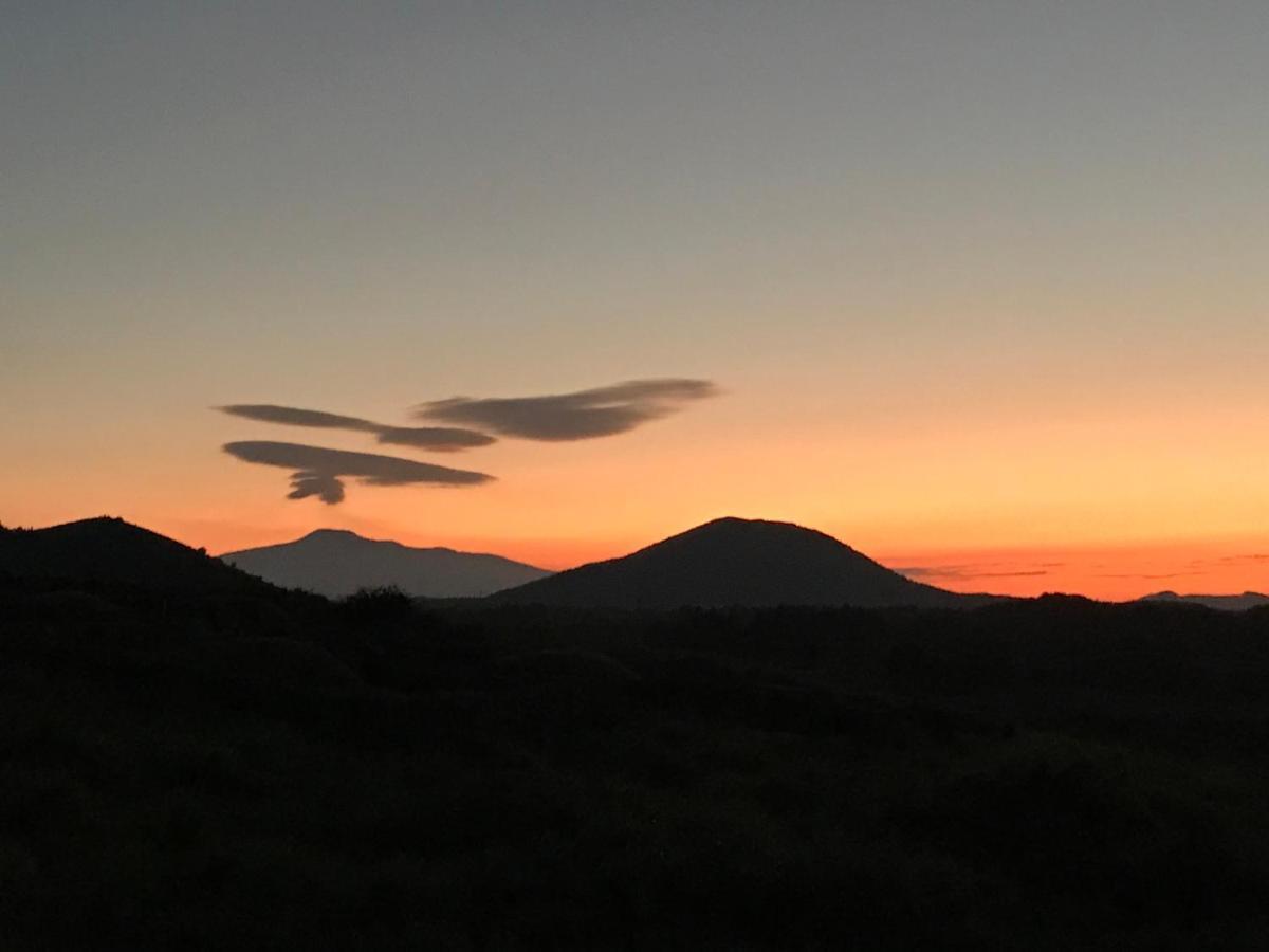 Lefthander Guesthouse Jeju Dış mekan fotoğraf